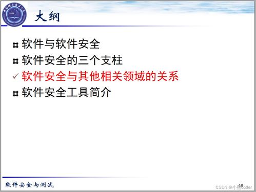 2024年网络安全 软件安全基础、架构组件与安全开发详解